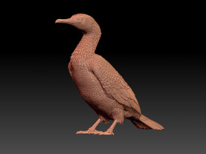 Cormorant Modelo de Impressão 3D