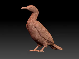 Cormorant 3D Print Model