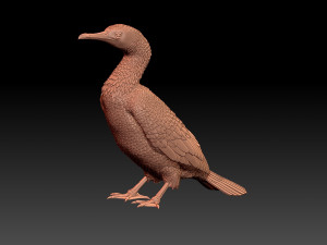 Cormorant Modelo de Impressão 3D
