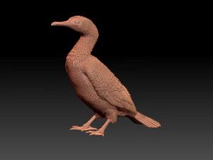 Cormorant 3D Print Model