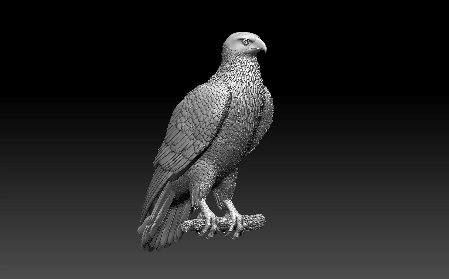 Hawk 3D Print Model .c4d .max .obj .3ds .fbx .stl .blend 
