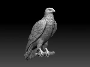 鷹 3Dプリントモデル