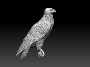 Hawk 3Dプリントモデル