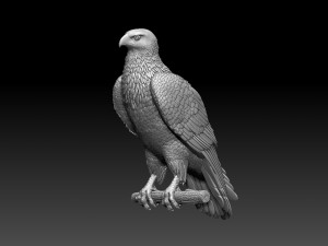 Hawk 3Dプリントモデル