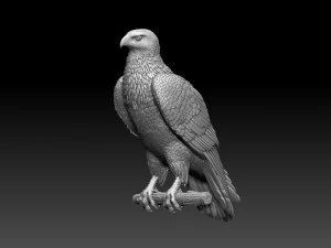 Hawk 3D Print Model