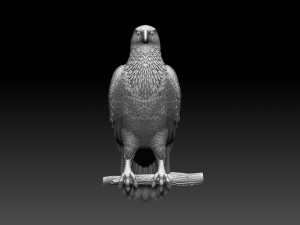 Hawk 3Dプリントモデル