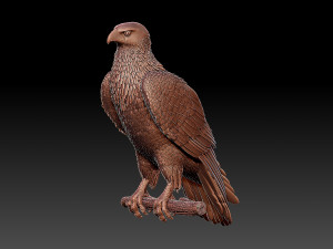 Hawk 3Dプリントモデル