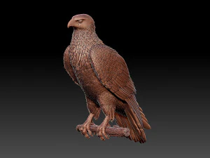 Hawk 3D Print Model