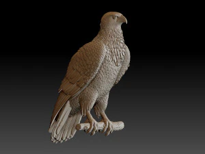 Hawk 3D Print Model