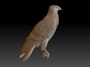 Hawk 3Dプリントモデル