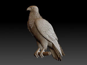 Hawk 3D Print Model