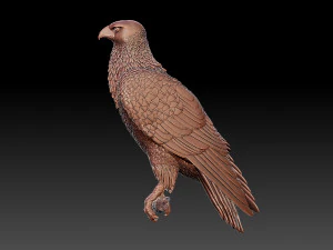 Hawk 3D Print Model