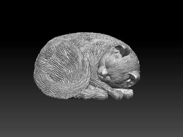 Cat 3D 프린트 모델 .c4d .max .obj .3ds .fbx .stl .blend 