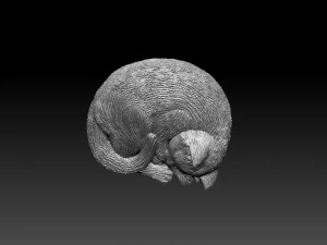 Cat 3D Print Model