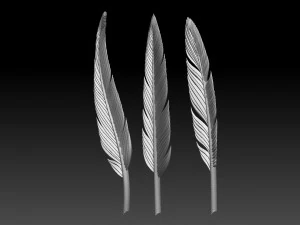 Feather 3D Print Model