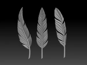 Feather 3D Print Model