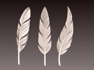 Feather 3D Print Model