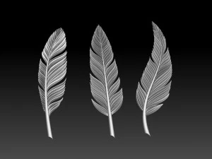 Feather 3D Print Model