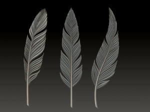 Feather 3D Print Model