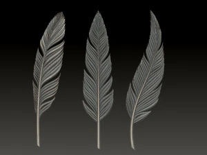 Feather 3D Print Model