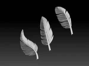 Feather 3D Print Model