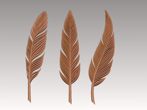 Feather 3D Print Model