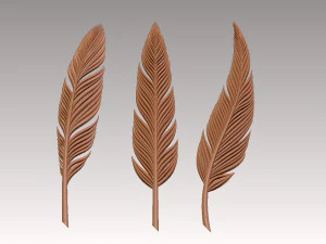 Feather 3D Print Model