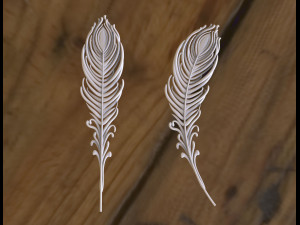 Feather of peacock 3D Print Model