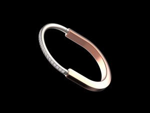Bracelet Modelo de Impressão 3D