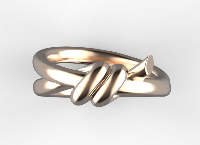 Ring 3D Druckmodell .c4d .max .obj .3ds .fbx .stl .blend