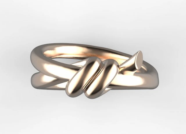Anillo Modelo de impresión 3D .c4d .max .obj .3ds .fbx .stl .blend