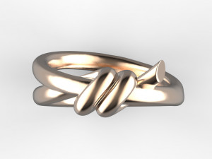 Ring 3D-Druckmodell