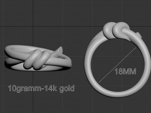 Ring 3D Druckmodell