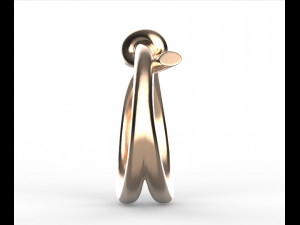 Ring 3D Druckmodell