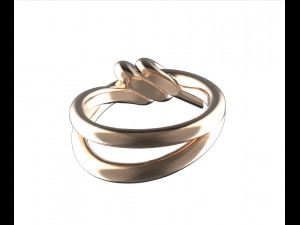 Ring 3D Druckmodell