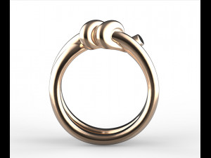 Ring 3D Druckmodell