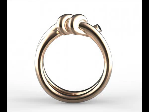 Anillo Modelo de impresión 3D