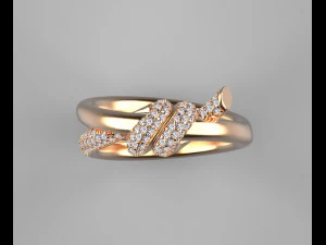 Ring 3D Print Model