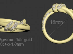 Ring 3D Print Model