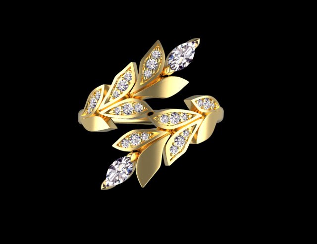 Ring 3D Принт Модель .c4d .max .obj .3ds .fbx .stl .blend 