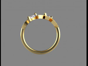 Ring 3D Print Model