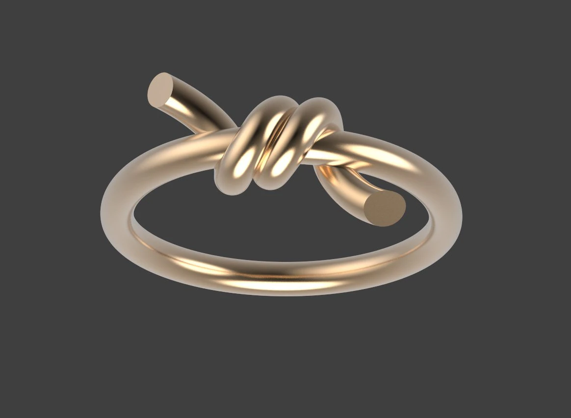 Ring 3D Print Model .c4d .max .obj .3ds .fbx .stl .blend 