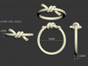 Ring 3D Print Model