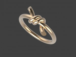 Ring 3D Print Model