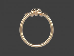 Ring 3D Print Model