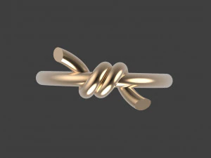Ring 3D Print Model