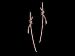 Earrings r 3D Print Model