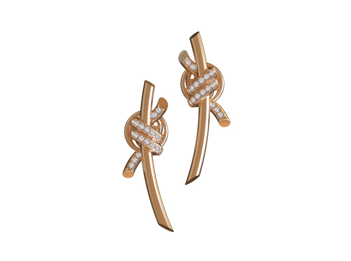 Earrings 3D Print Model .c4d .max .obj .3ds .fbx .stl .blend