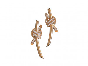 Earrings 3Dプリントモデル