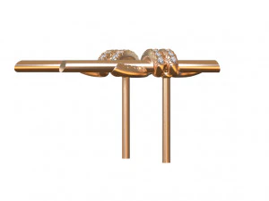 Earrings 3D Print Model